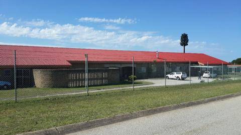 Painting of roofs at Merryvale school